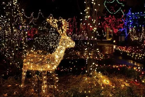 圣誕燈電池盒如何全自動化組裝電池片/開關(guān)/PCB板等配件